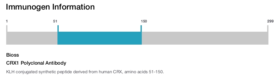 CRX1 Polyclonal Antibody