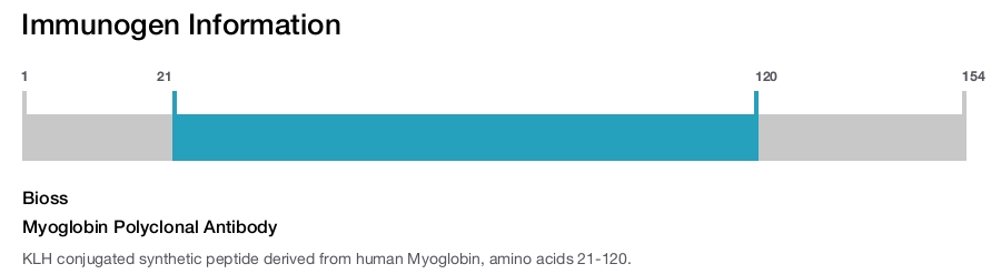Myoglobin Polyclonal Antibody
