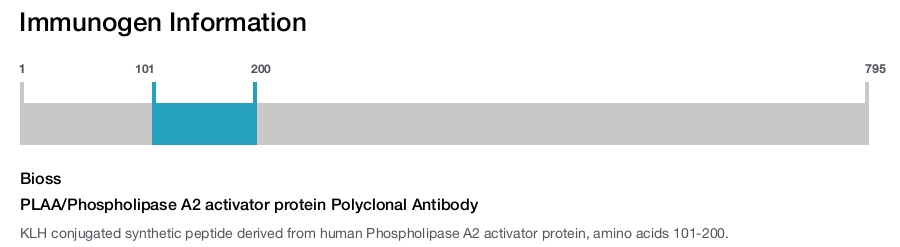 PLAA/Phospholipase A2 activator protein Polyclonal Antibody