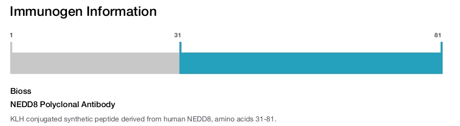 NEDD8 Polyclonal Antibody