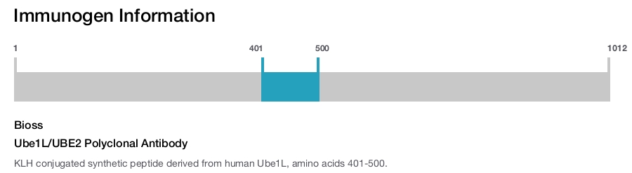 Ube1L/UBE2 Polyclonal Antibody