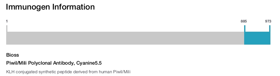 Piwil/Mili Polyclonal Antibody, Cyanine5.5