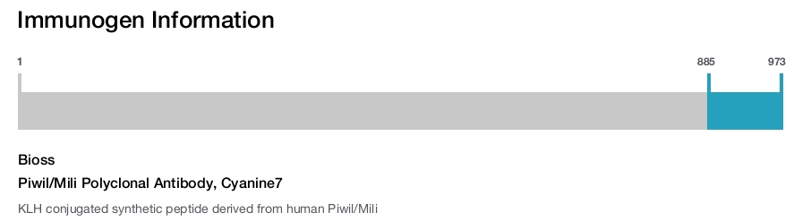 Piwil/Mili Polyclonal Antibody, Cyanine7