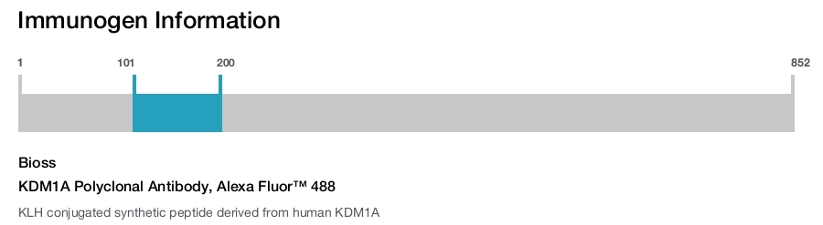 KDM1A Polyclonal Antibody, Alexa Fluor&trade; 488