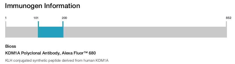 KDM1A Polyclonal Antibody, Alexa Fluor&trade; 680