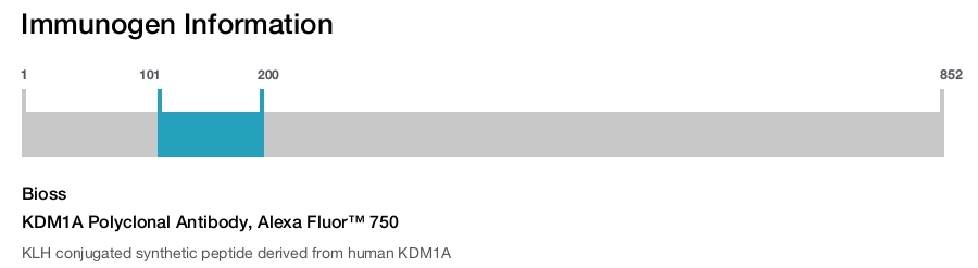 KDM1A Polyclonal Antibody, Alexa Fluor&trade; 750