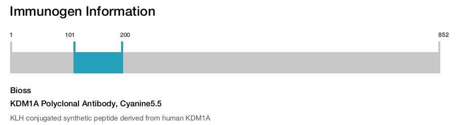 KDM1A Polyclonal Antibody, Cyanine5.5