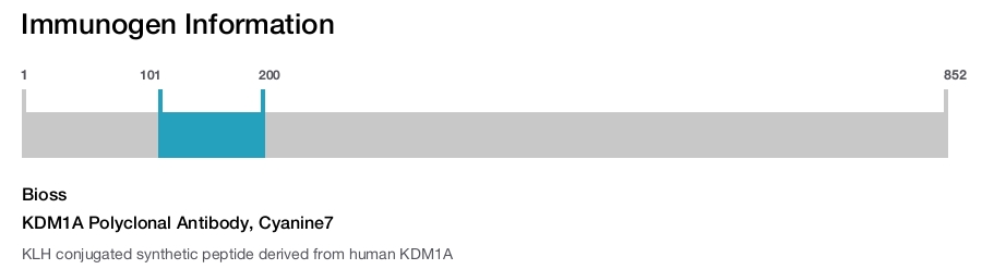KDM1A Polyclonal Antibody, Cyanine7