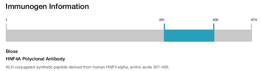 HNF4A Polyclonal Antibody