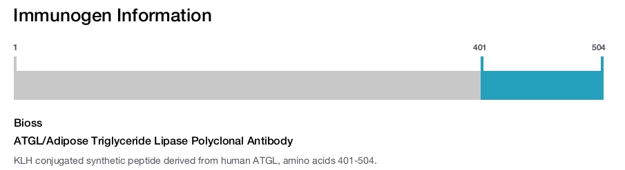 ATGL/Adipose Triglyceride Lipase Polyclonal Antibody