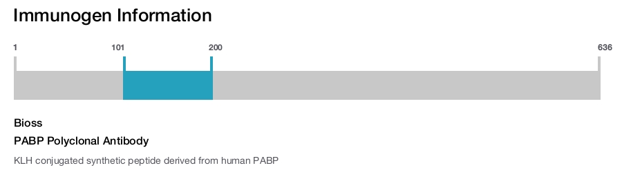 PABP Polyclonal Antibody
