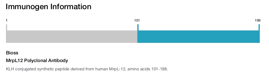 MrpL12 Polyclonal Antibody