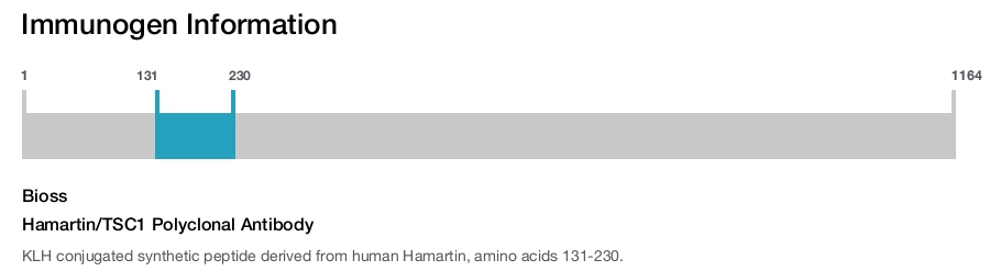 Hamartin/TSC1 Polyclonal Antibody