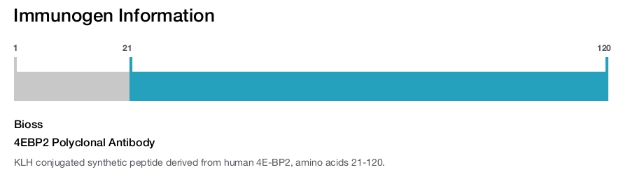 4EBP2 Polyclonal Antibody