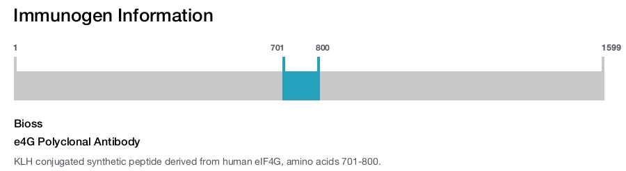 e4G Polyclonal Antibody
