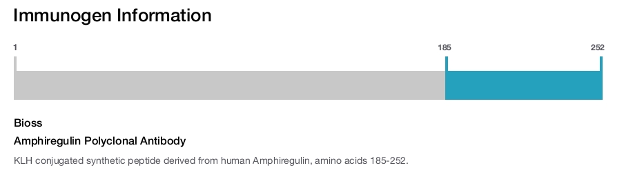 Amphiregulin Polyclonal Antibody