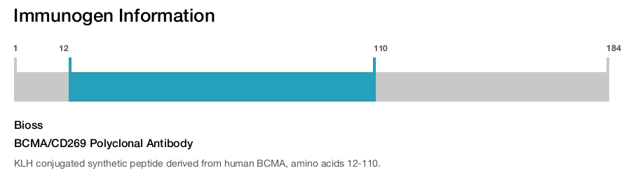 BCMA/CD269 Polyclonal Antibody