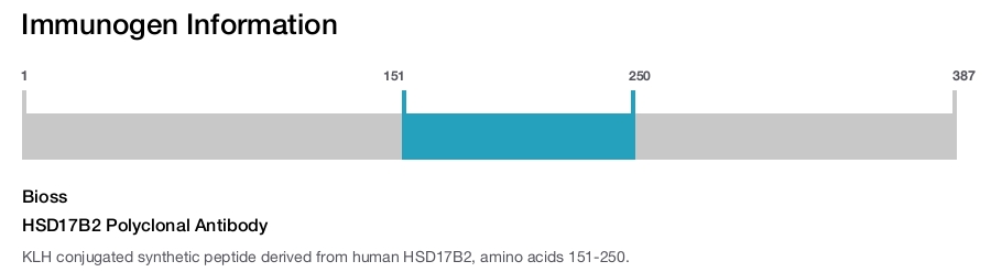 HSD17B2 Polyclonal Antibody