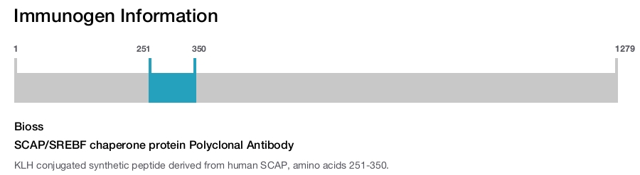 SCAP/SREBF chaperone protein Polyclonal Antibody