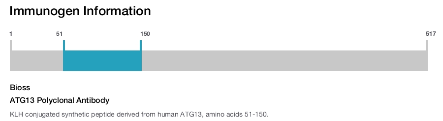 ATG13 Polyclonal Antibody