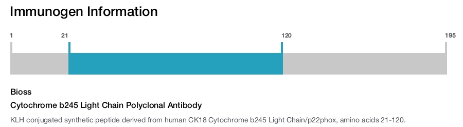 Cytochrome b245 Light Chain Polyclonal Antibody