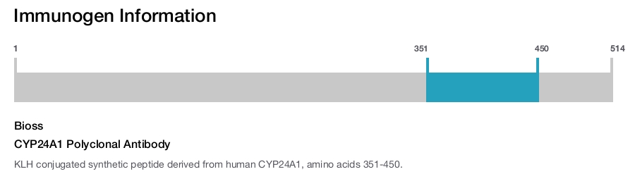 CYP24A1 Polyclonal Antibody
