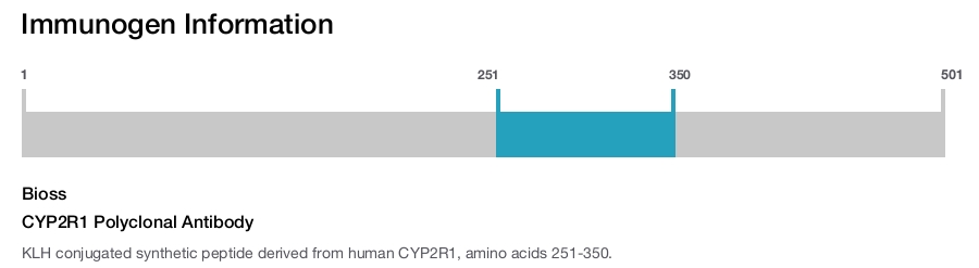 CYP2R1 Polyclonal Antibody
