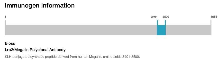Lrp2/Megalin Polyclonal Antibody