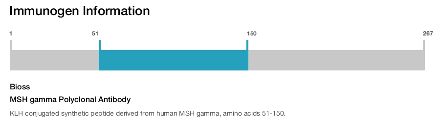 MSH gamma Polyclonal Antibody