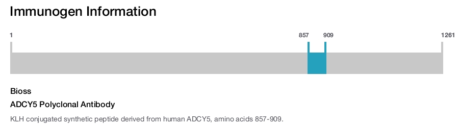 ADCY5 Polyclonal Antibody