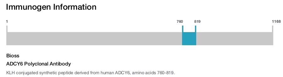 ADCY6 Polyclonal Antibody