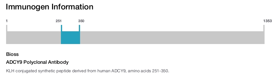 ADCY9 Polyclonal Antibody