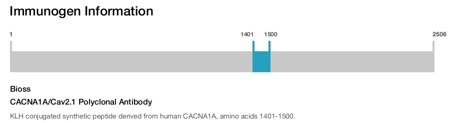 CACNA1A/Cav2.1 Polyclonal Antibody