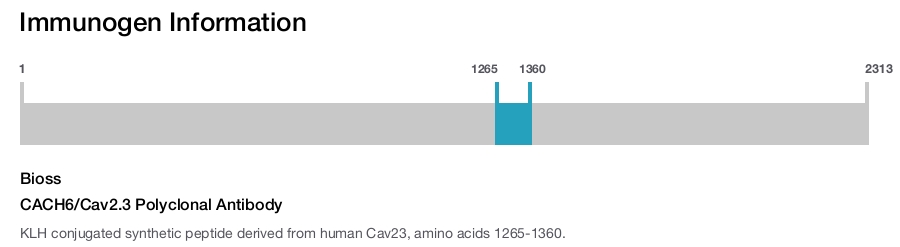 CACH6/Cav2.3 Polyclonal Antibody