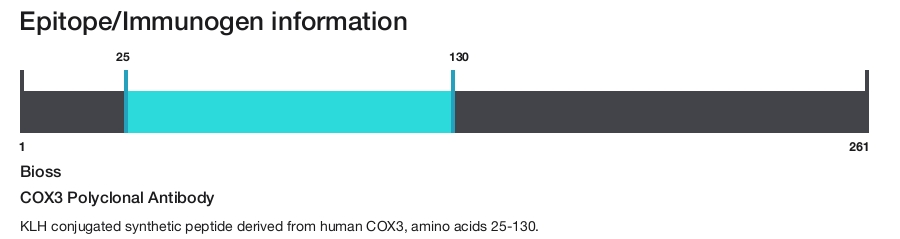 COX3 Polyclonal Antibody