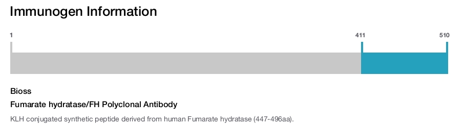 Fumarate hydratase/FH Polyclonal Antibody