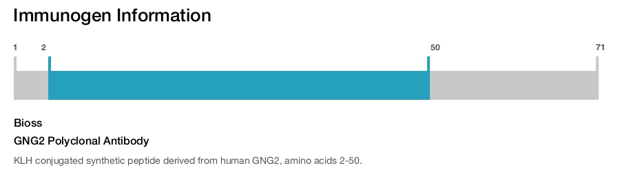 GNG2 Polyclonal Antibody