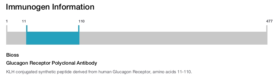 Glucagon Receptor Polyclonal Antibody