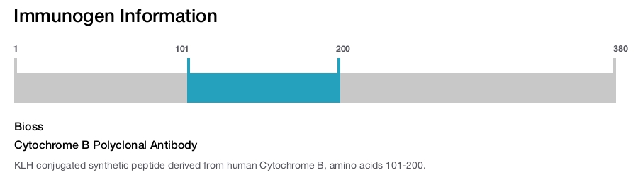 Cytochrome B Polyclonal Antibody