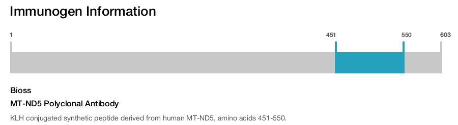 MT-ND5 Polyclonal Antibody
