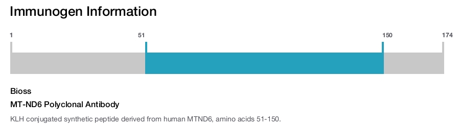 MT-ND6 Polyclonal Antibody