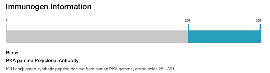 PKA gamma Polyclonal Antibody
