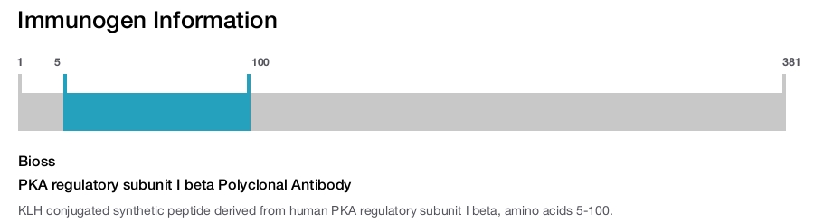 PKA regulatory subunit I beta Polyclonal Antibody