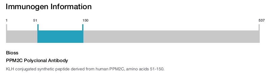 PPM2C Polyclonal Antibody