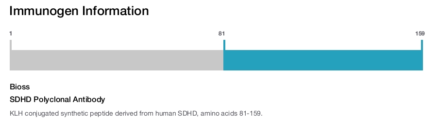 SDHD Polyclonal Antibody