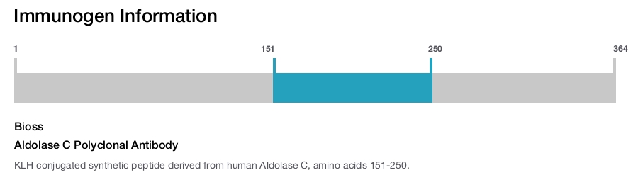 Aldolase C Polyclonal Antibody