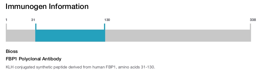FBP1 Polyclonal Antibody