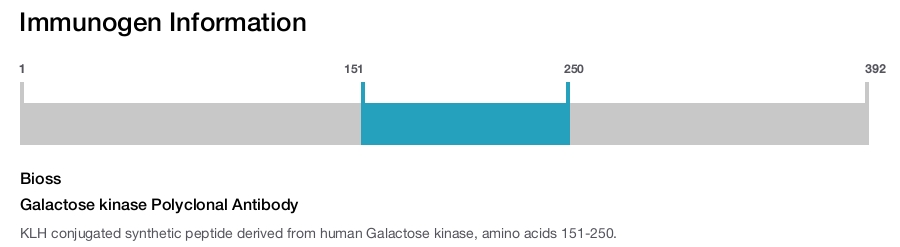 Galactose kinase Polyclonal Antibody