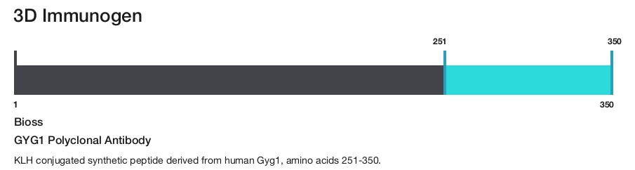 GYG1 Polyclonal Antibody