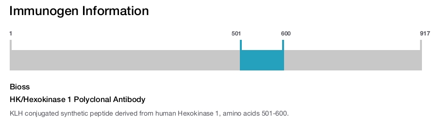 HK/Hexokinase 1 Polyclonal Antibody